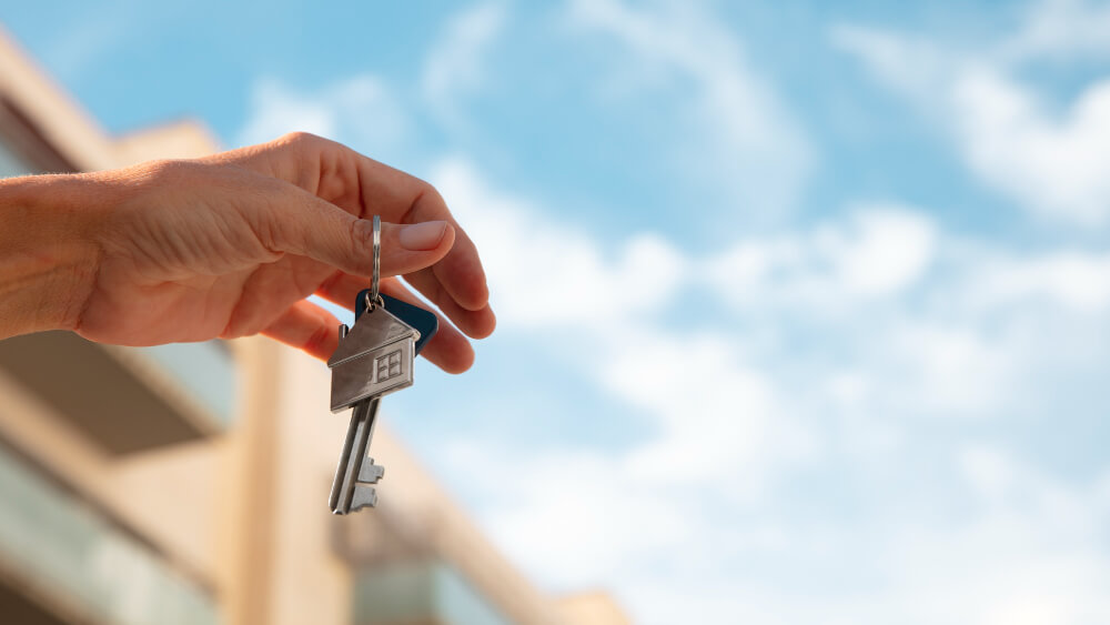diseño web inmobiliario españa