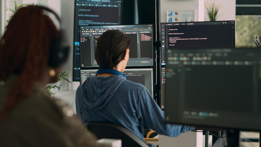 Costos desarrollo de software