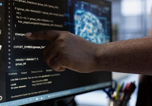Desarrollo de software a la medida
